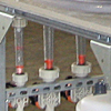 Elektrodialyse Elektrodialyse